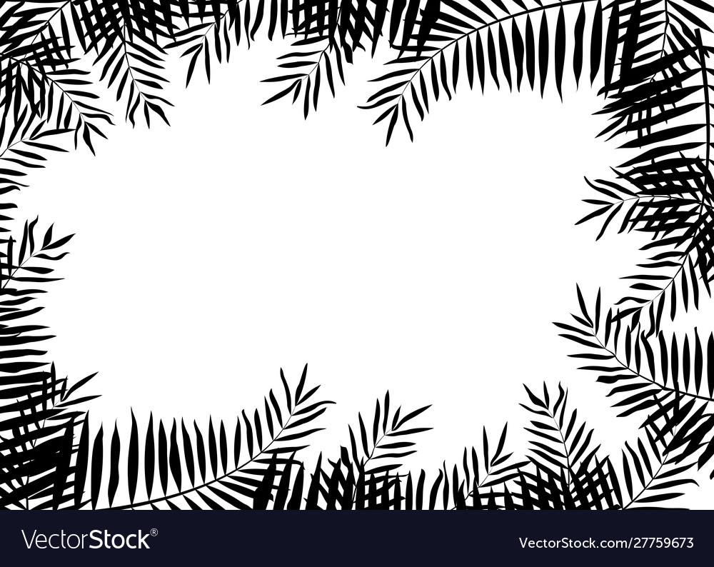 Black tropical leaves on white background Vector Image