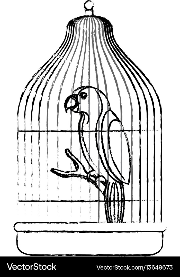 Cute bird parrot in cage mascot Royalty Free Vector Image