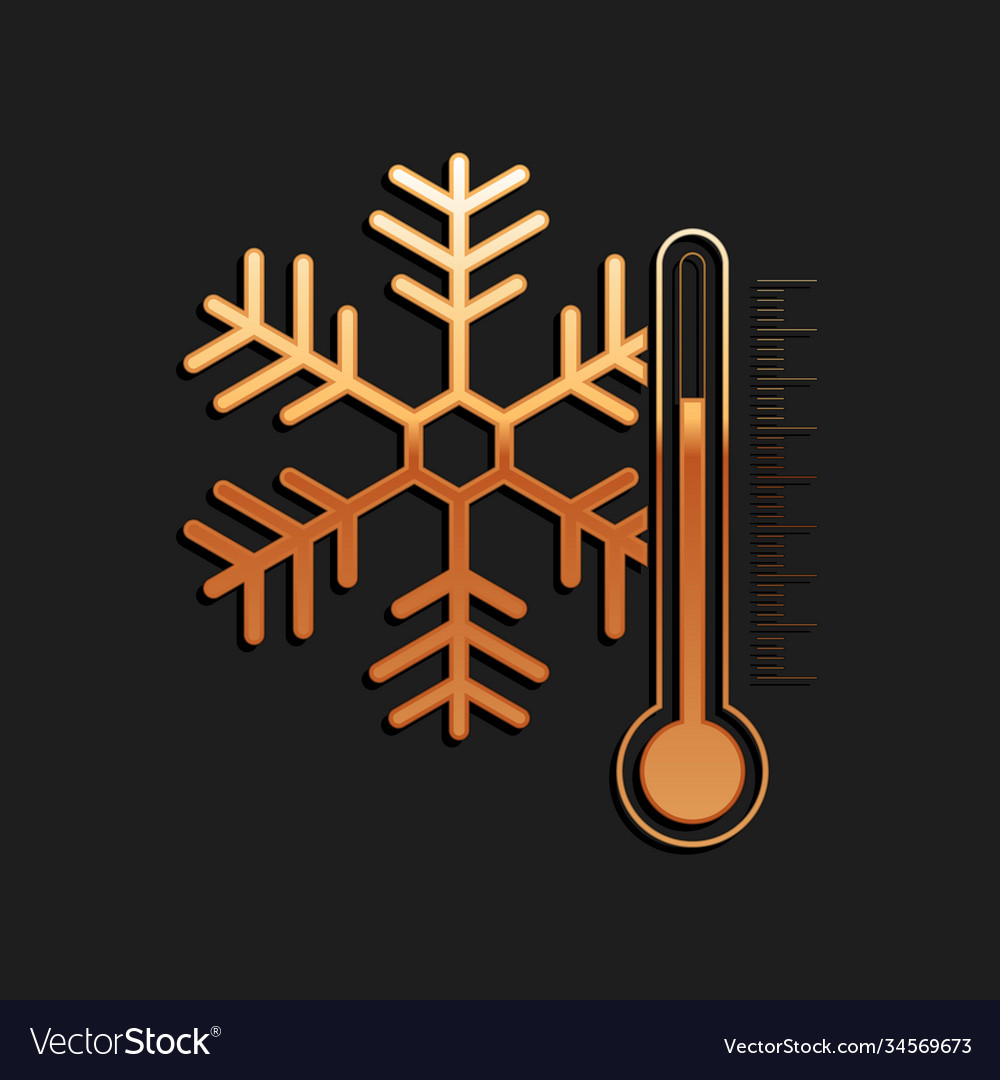 Gold thermometer with snowflake icon isolated vector image Gold thermometer with snowflake icon isolated