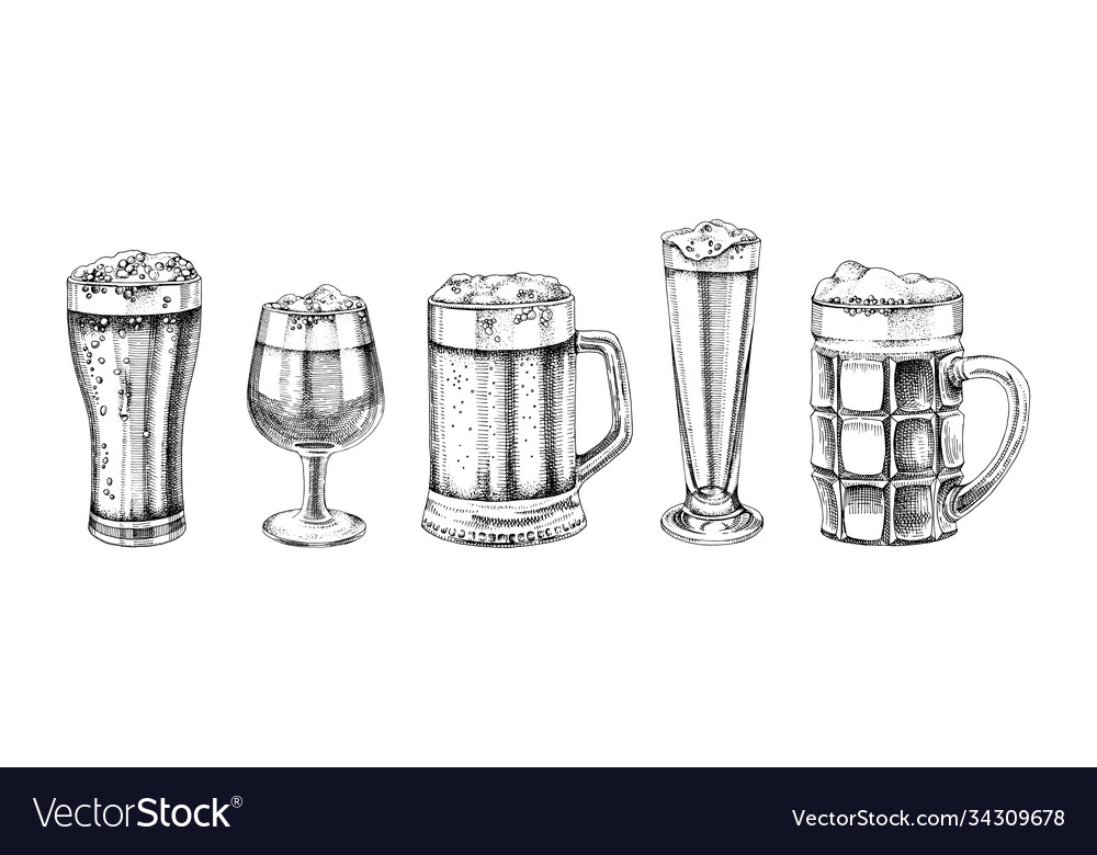 Set hand drawn beer glasses Royalty Free Vector Image