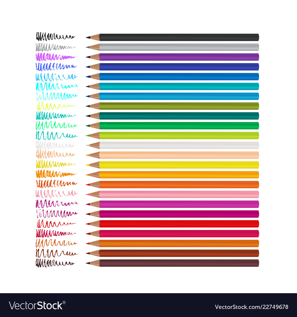 set of 24 realistic colored pencils isolated on a vector image