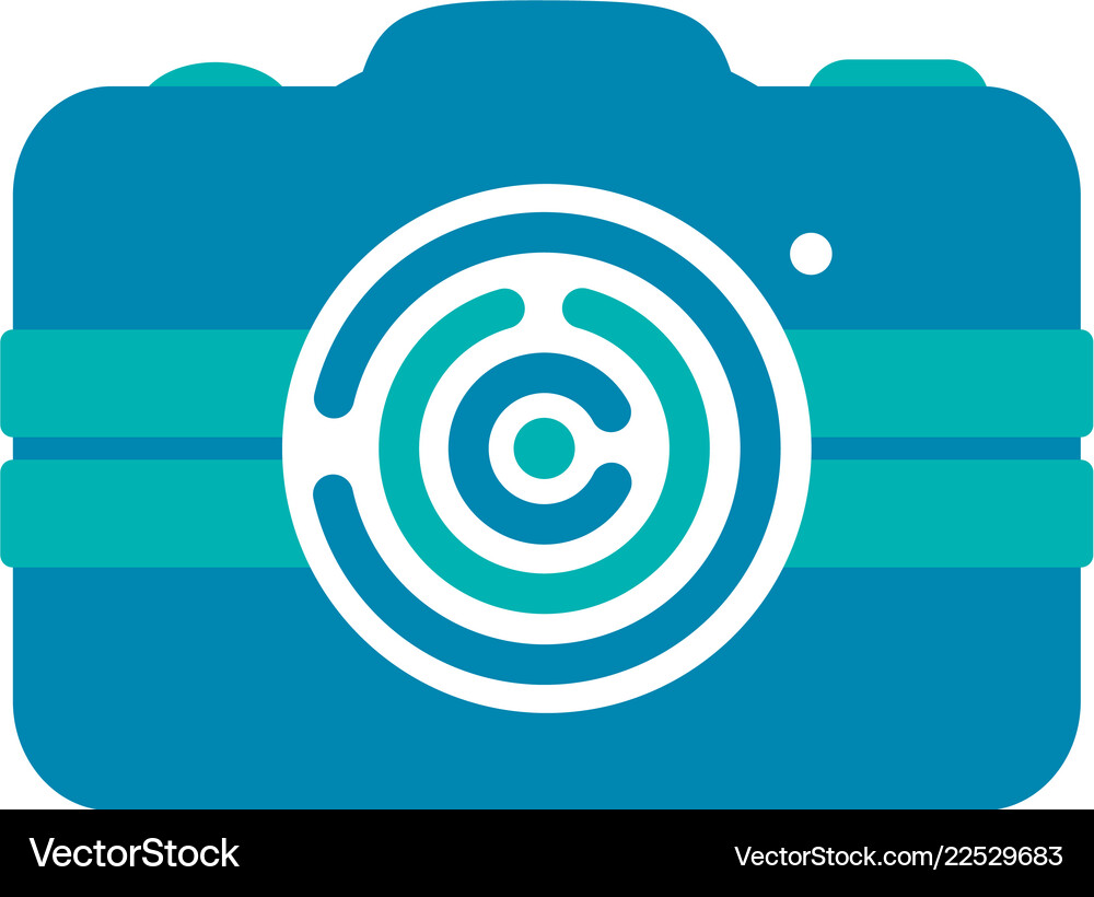 Camera photography application Royalty Free Vector Image