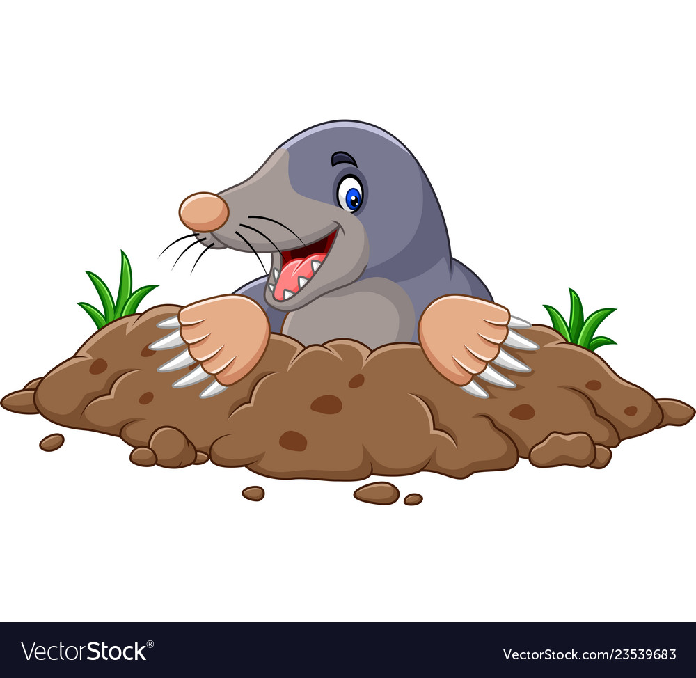 Cute Cartoon Mole Emerging from Hole