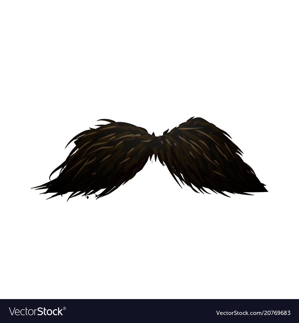 Detailed fancy black hipster mustache on white vector image Detailed fancy black hipster mustache on white
