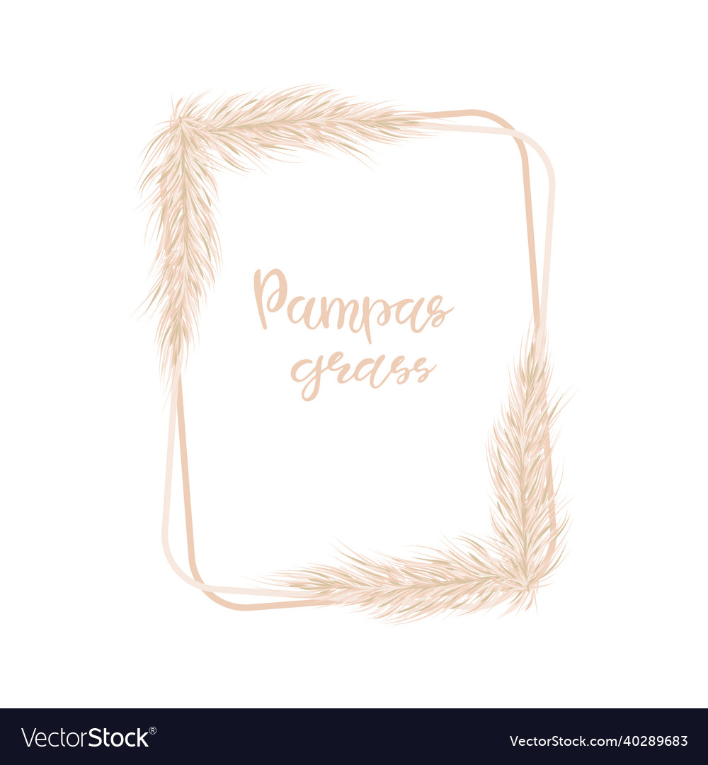 Dry Pampas Grass Frame