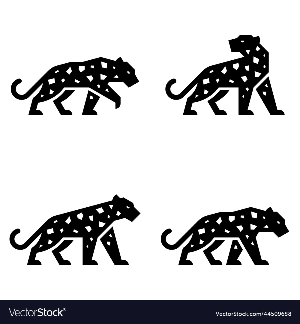 Set of leopard
