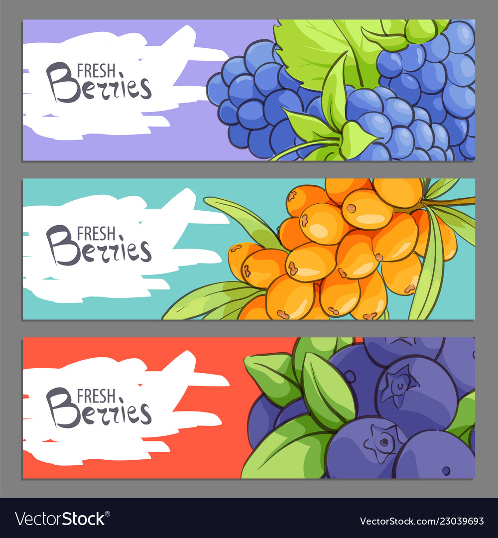 Fresh berries banners