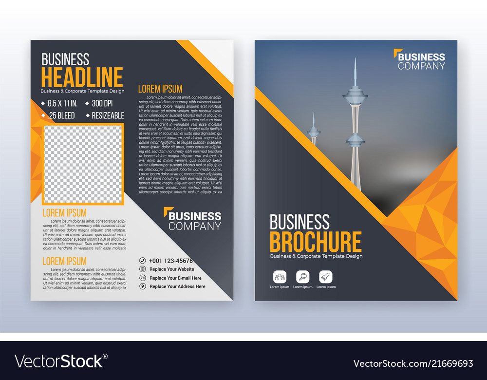 Multipurpose modern business cover and flyer Vector Image