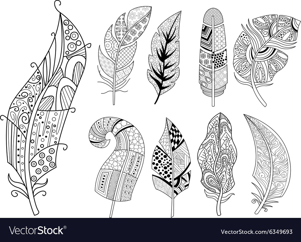 Ornamental feathers in handdrawn style