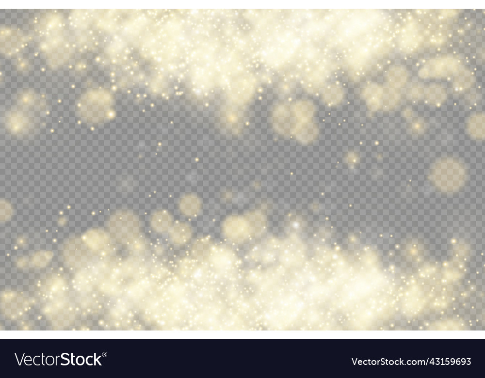 Sparkling golden magic dust particles bokeh light Vector Image