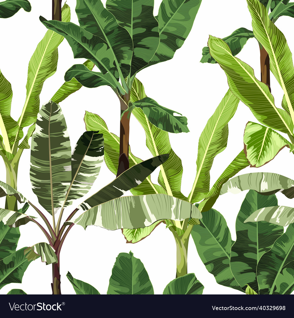 Seamless floral pattern with exotic plant vector image Seamless floral pattern with exotic plant