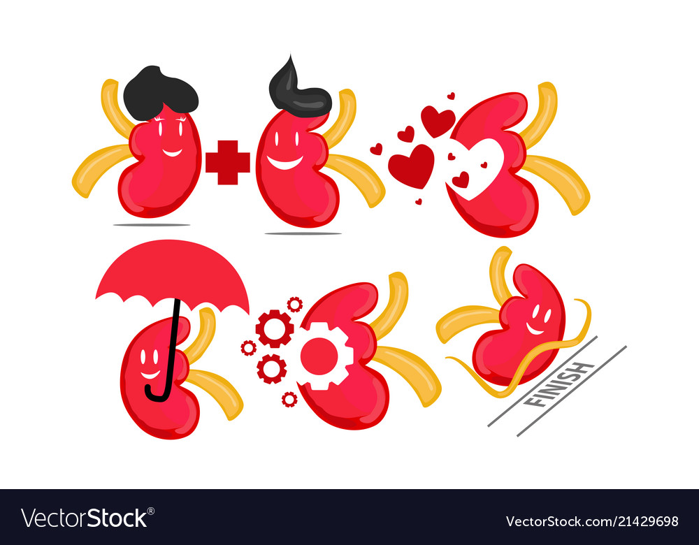 World kidney day template set Royalty Free Vector Image