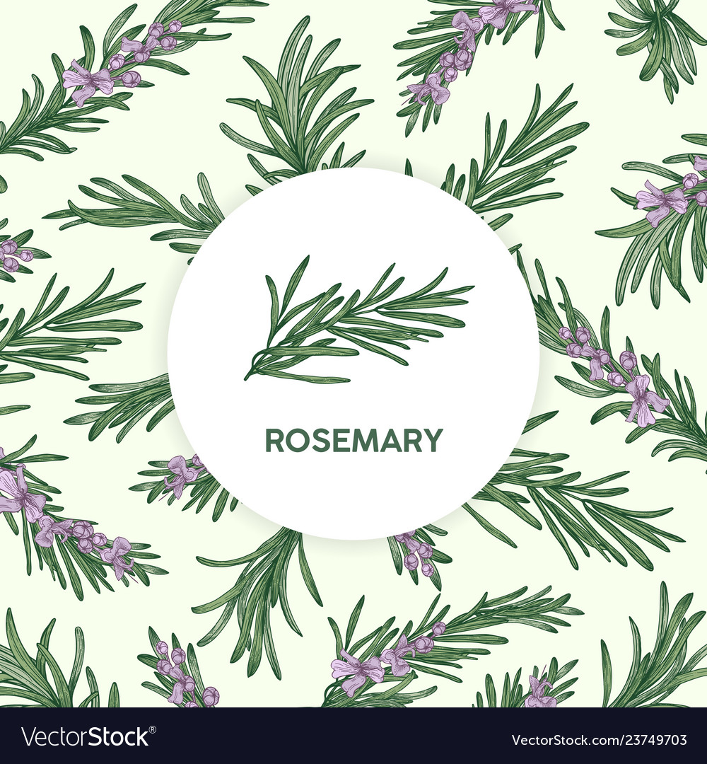 Circular label decorated by rosemary sprig