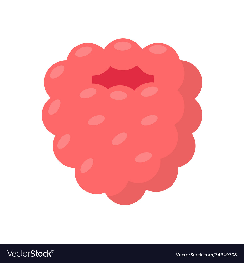 Cute raspberry isolated colorful fruit