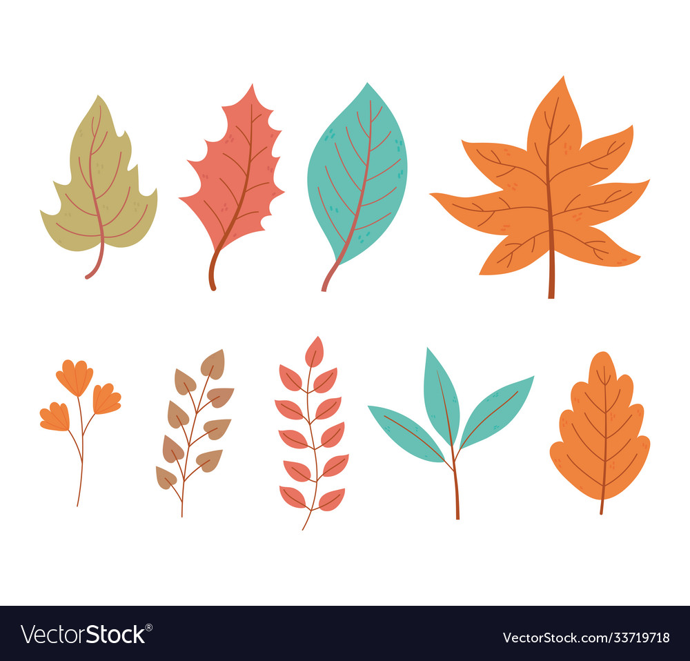 Autumn Leaves Maple Branch Foliage Nature Icon Set Autumn Leaves Maple Branch Foliage Nature Icon Set