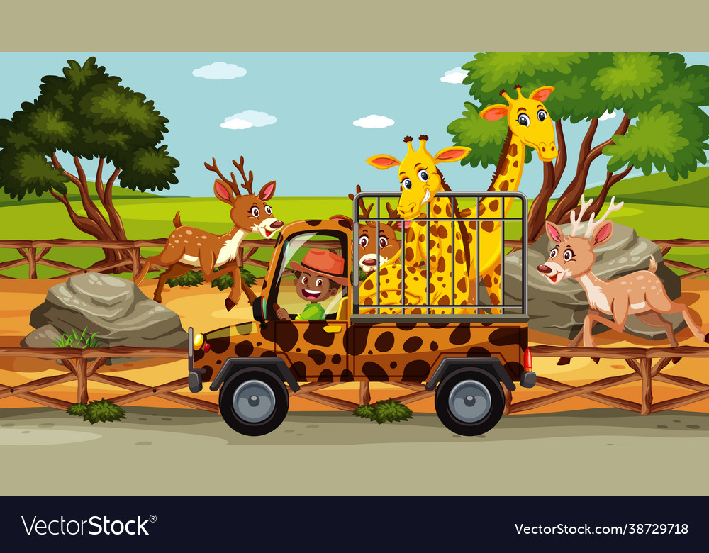 Safari Szene mit vielen Hirschen und Giraffen