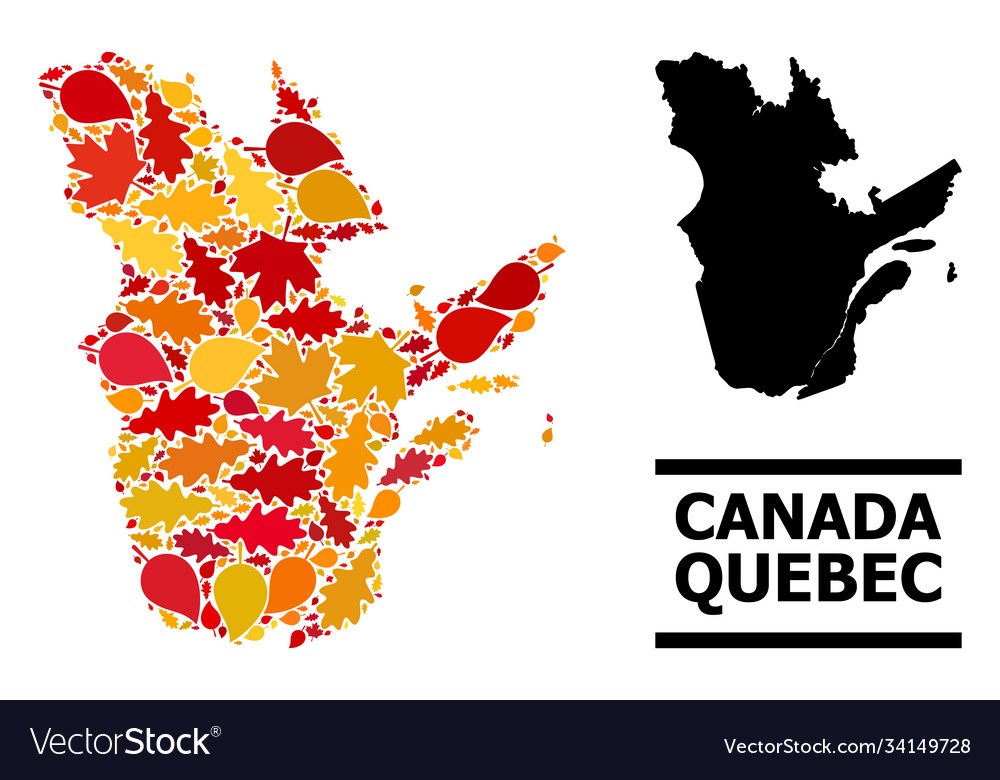 Autumn leaves - mosaic map quebec province Vector Image