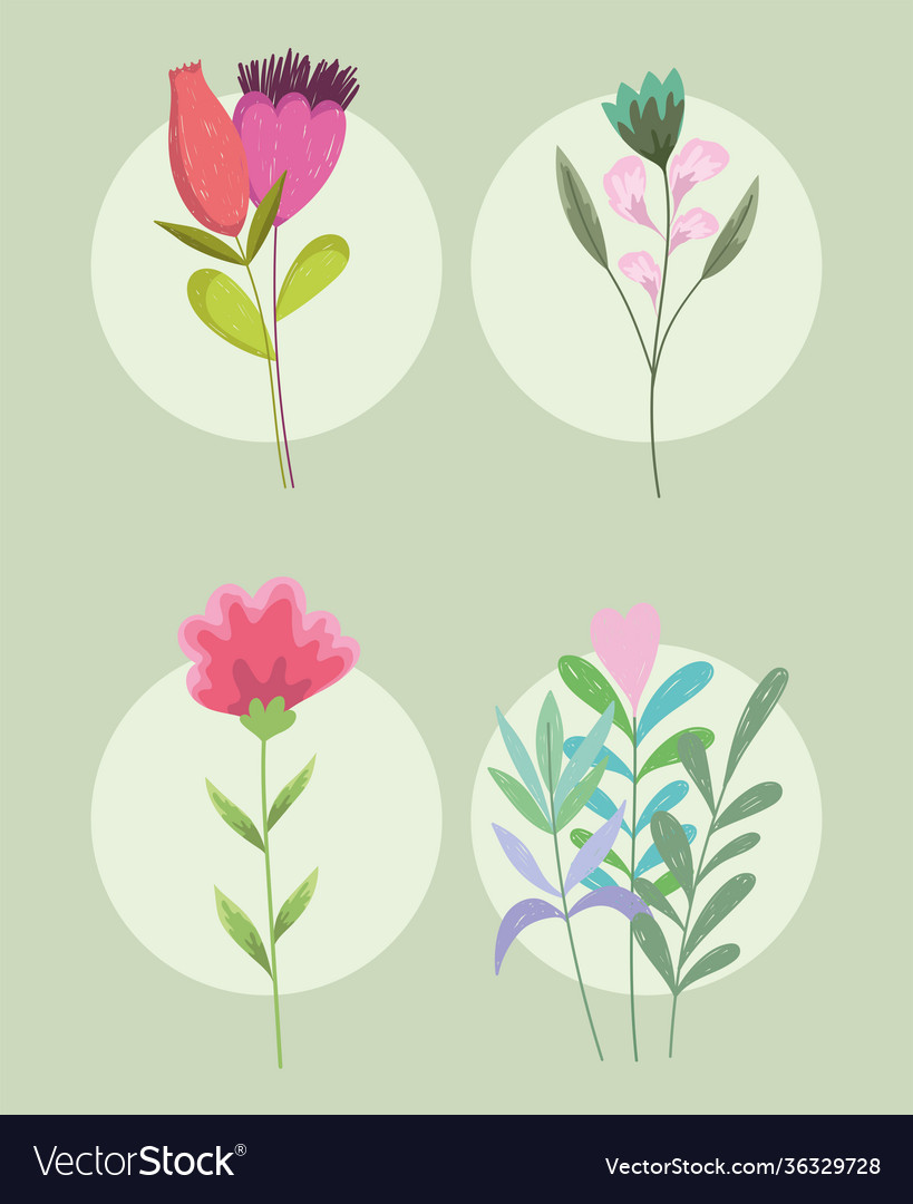 Flowers decoration floral flora nature foliage Vector Image
