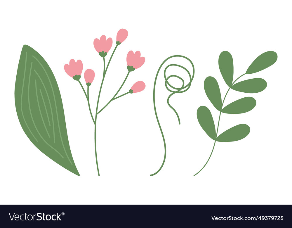 Set of 4 botanical design elements vector image Set of 4 botanical design elements