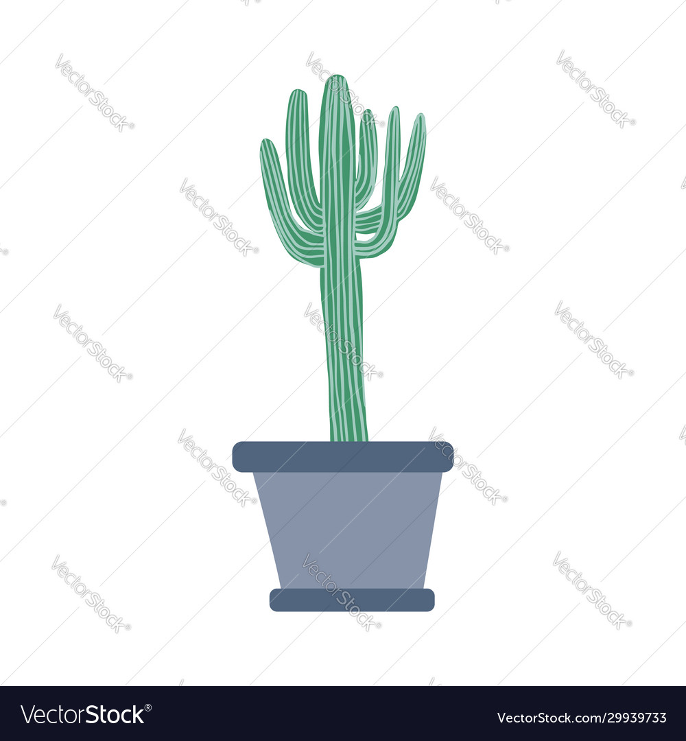 Große Hauspflanze im doodle-Stil niedlich prickly green