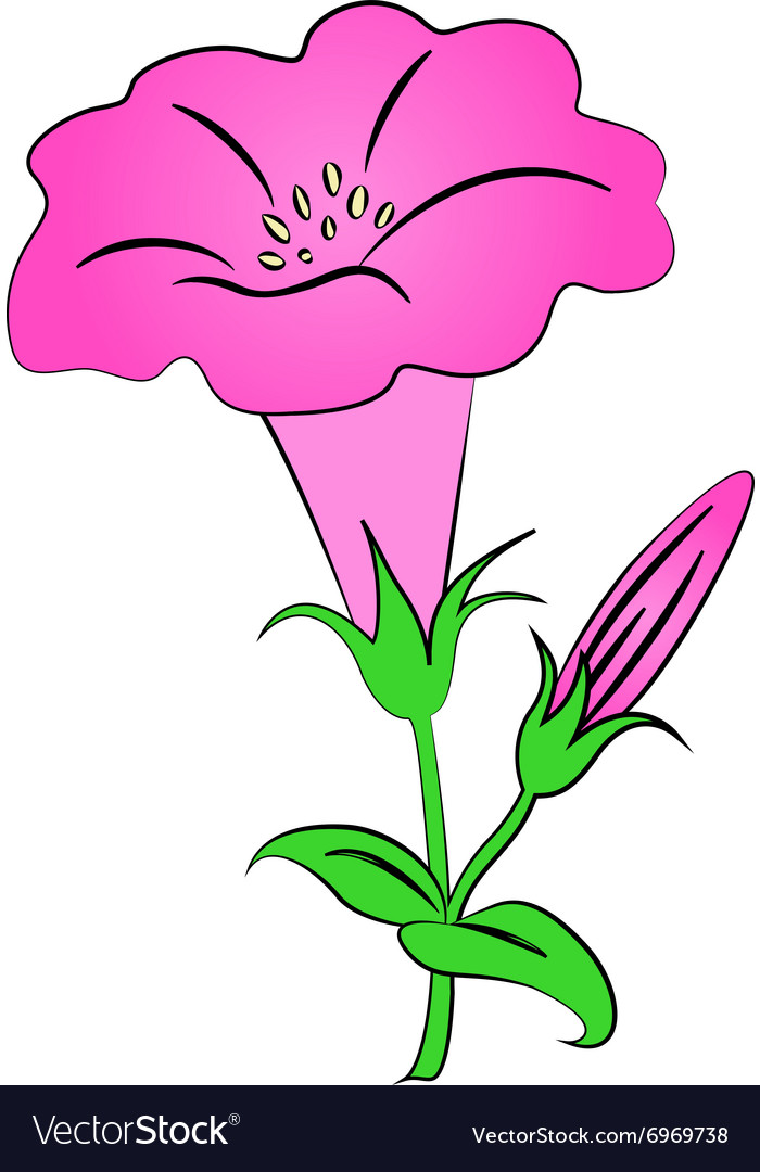 Cartoon flower on white background Royalty Free Vector Image