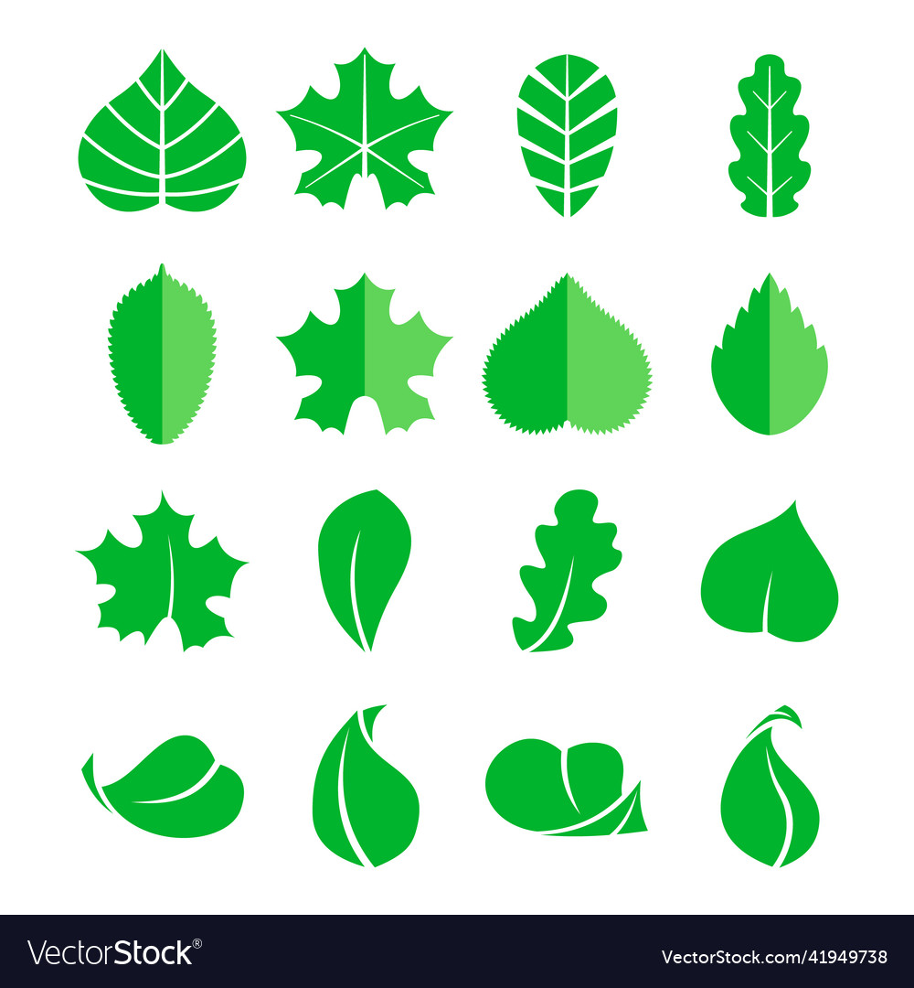 Verschiedene Blatt-Set-Symbole Design Öko-Elemente vector image Verschiedene Blatt-Set-Symbole Design Öko-Elemente