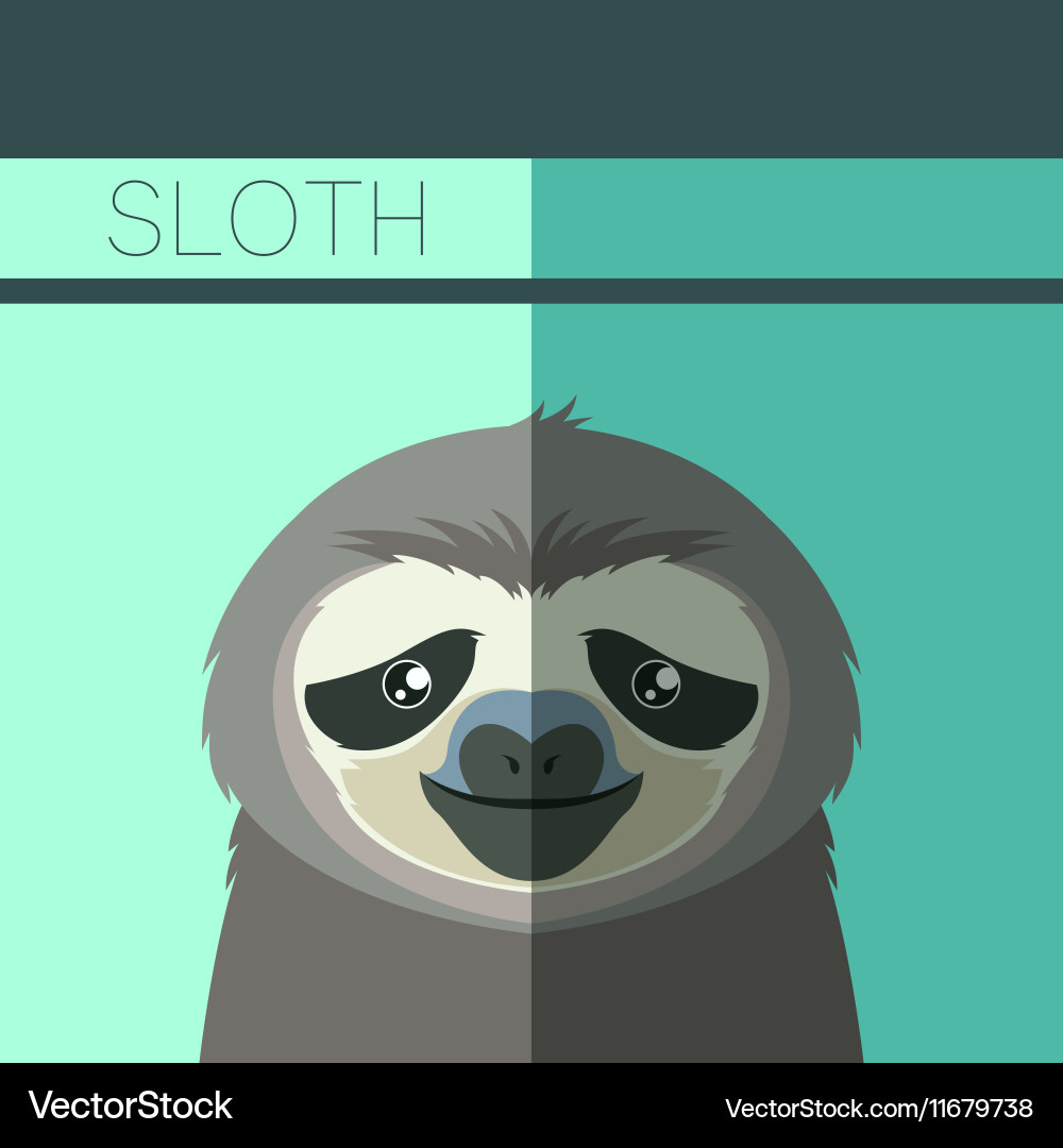 Flat postcard with sloth Royalty Free Vector Image