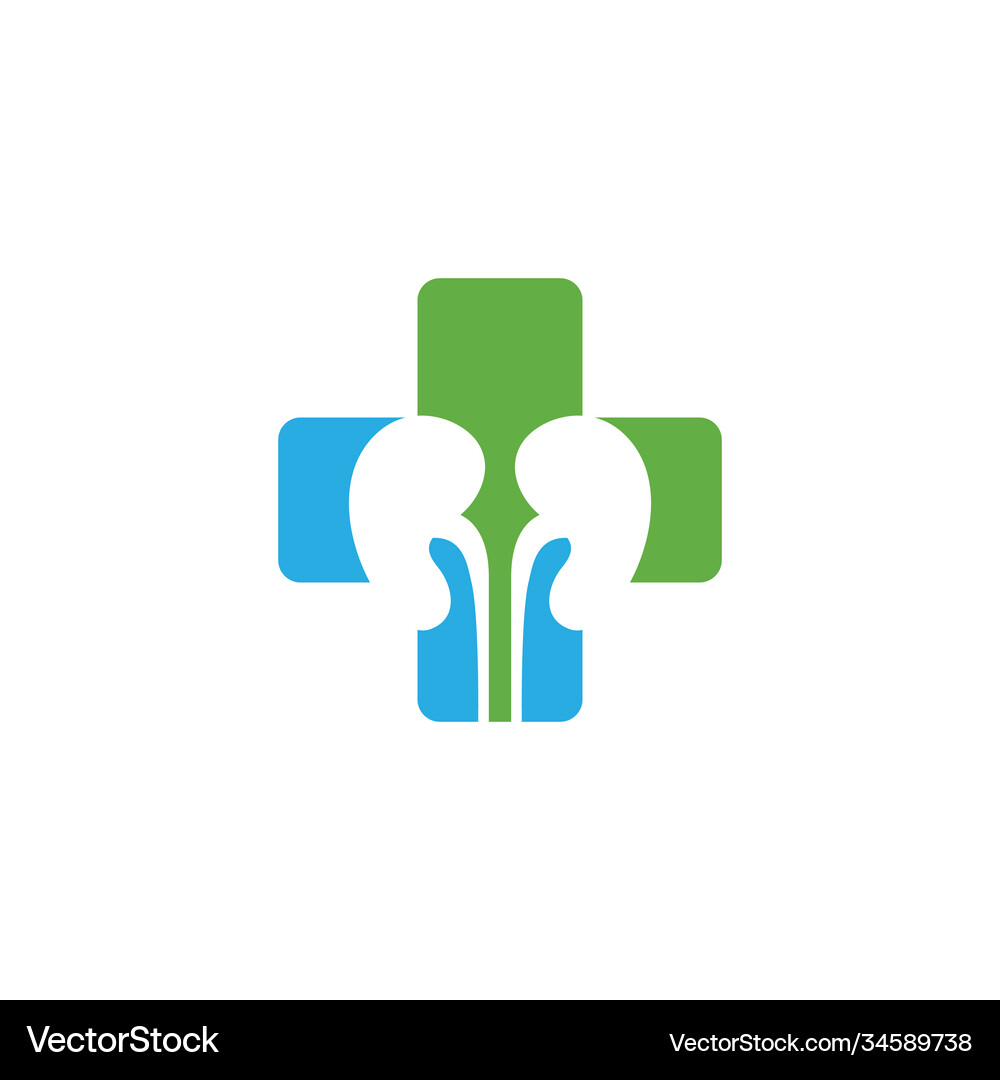Kidney Royalty Free Vector Image - VectorStock
