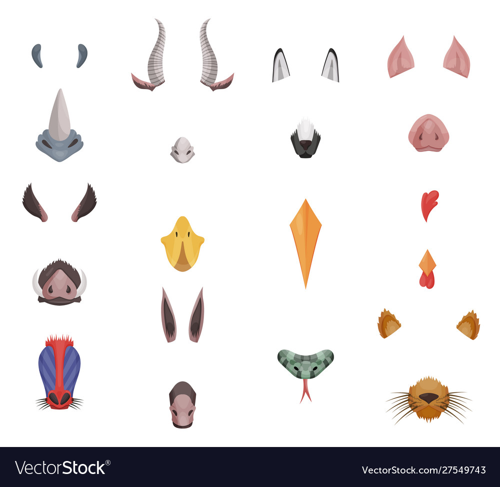 Animal face elements set ears and nose