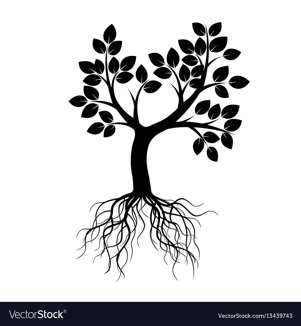 Black tree and roots Royalty Free Vector Image