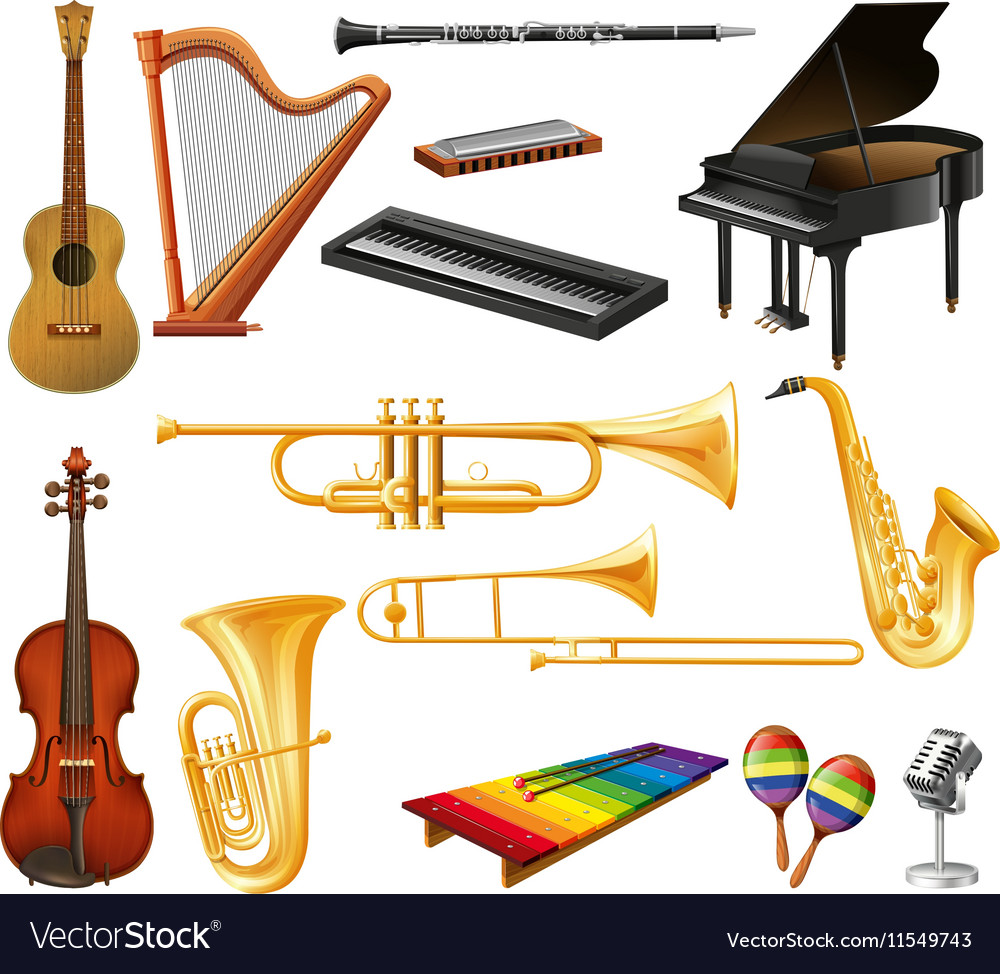 Different Types Of Musical Instruments Royalty Free Vector