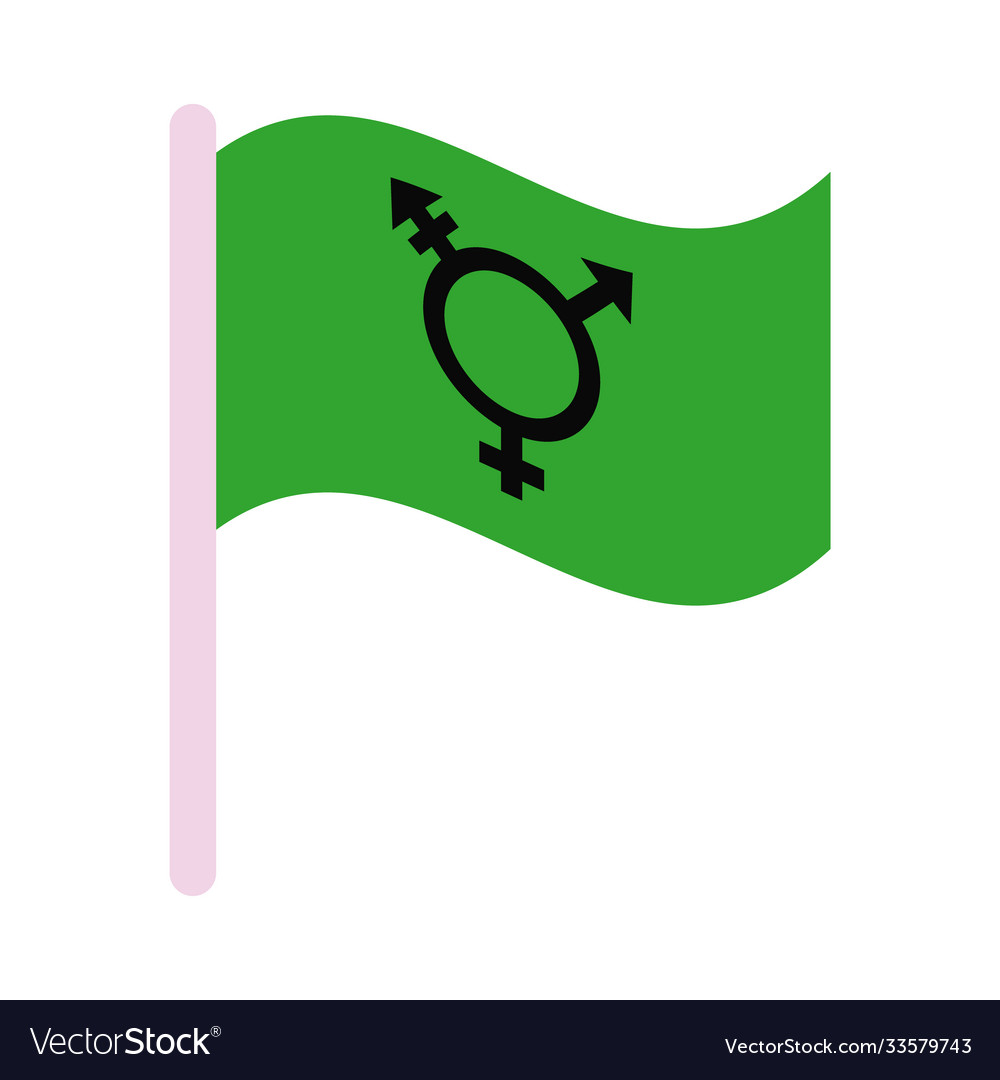 Israeli transgender and genderqueer flag sexual