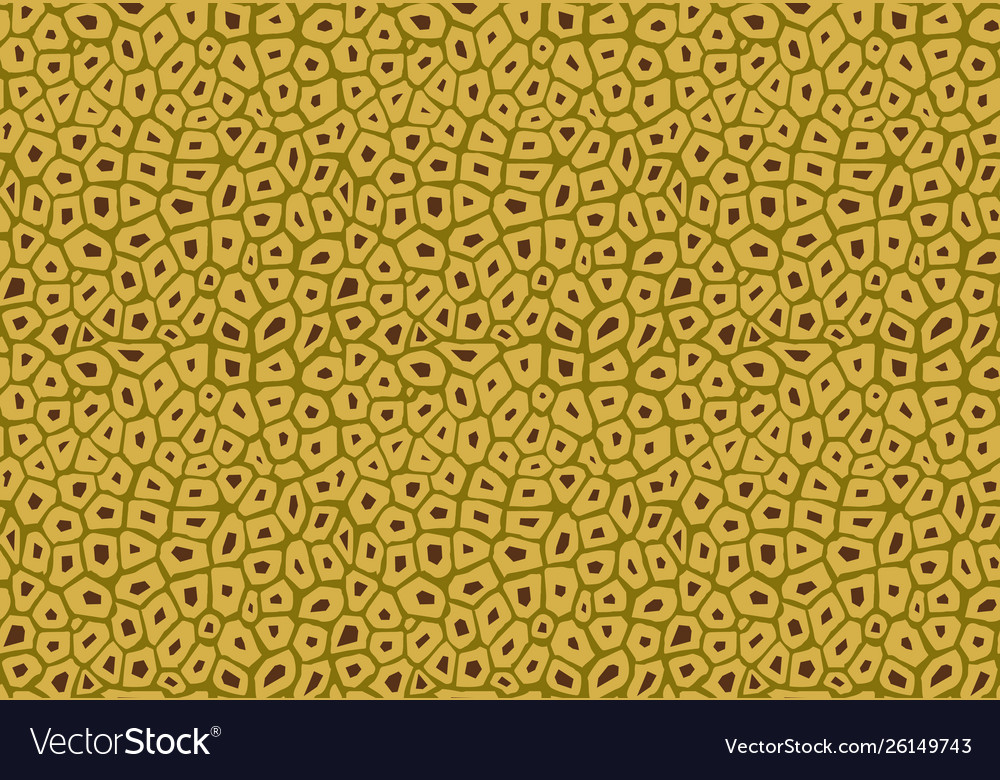 Jackfruit pattern texture seamless vector image Jackfruit pattern texture seamless
