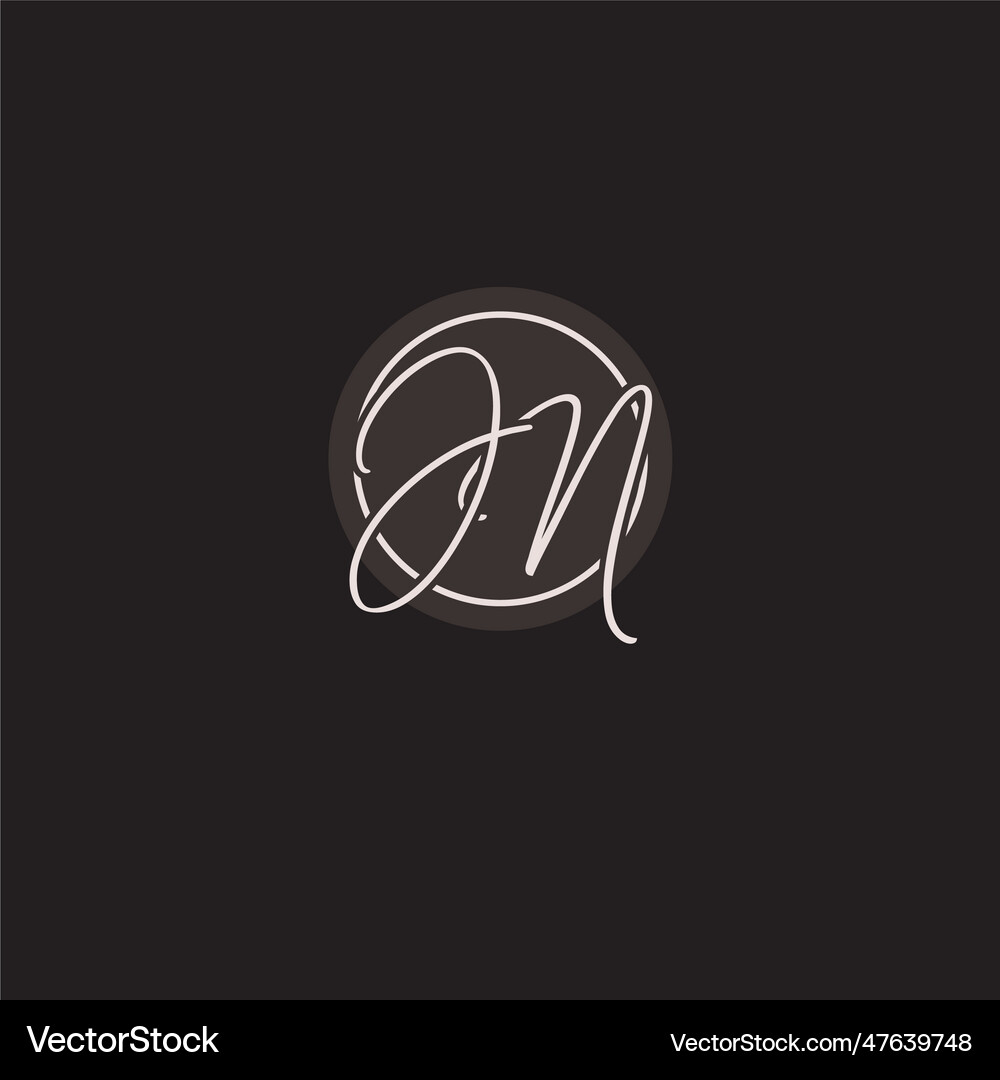Initials jn logo monogram with simple circle line Vector Image