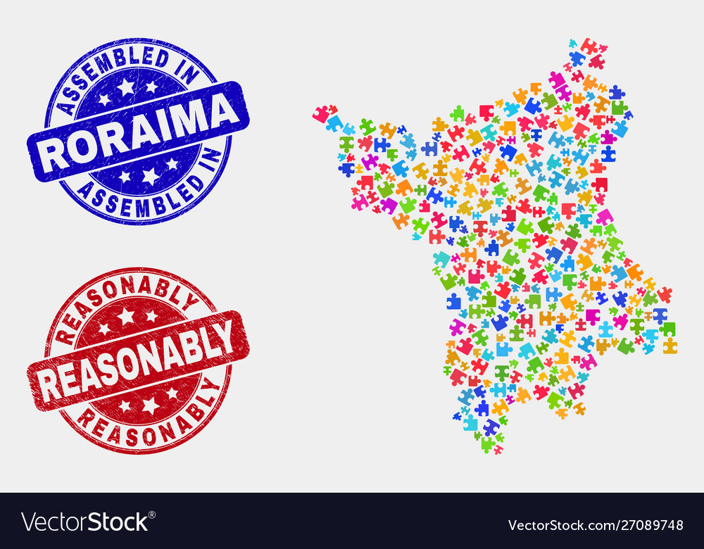 Module roraima state map and scratched assembled vector image Module roraima state map and scratched assembled