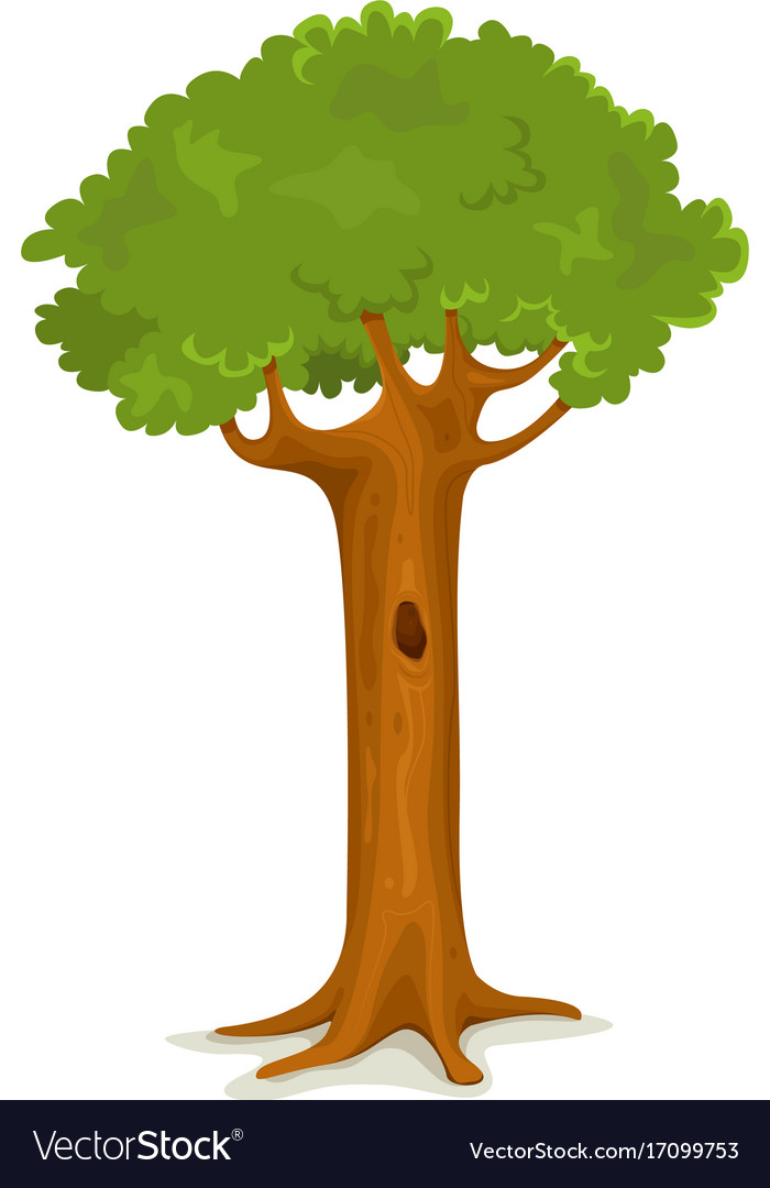 summer-or-spring-tree-royalty-free-vector-image