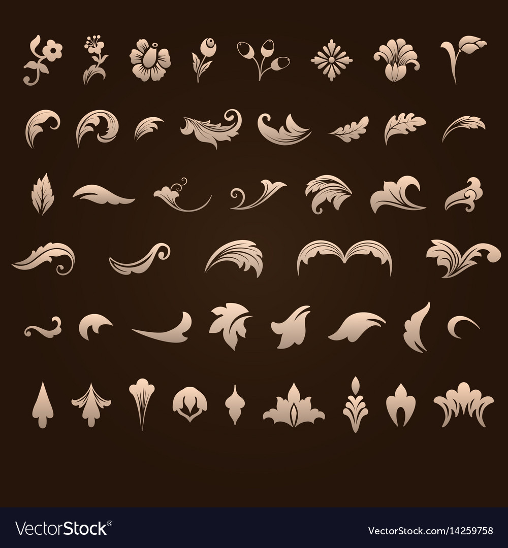 Damask Floral Ornament Collection