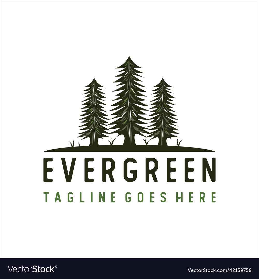 Evergreen logo design template