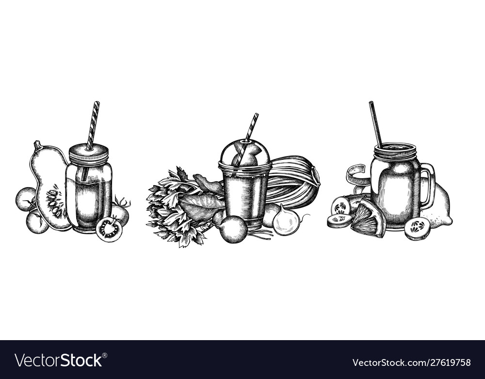 Flower bouquet black and white lemons radish Vector Image