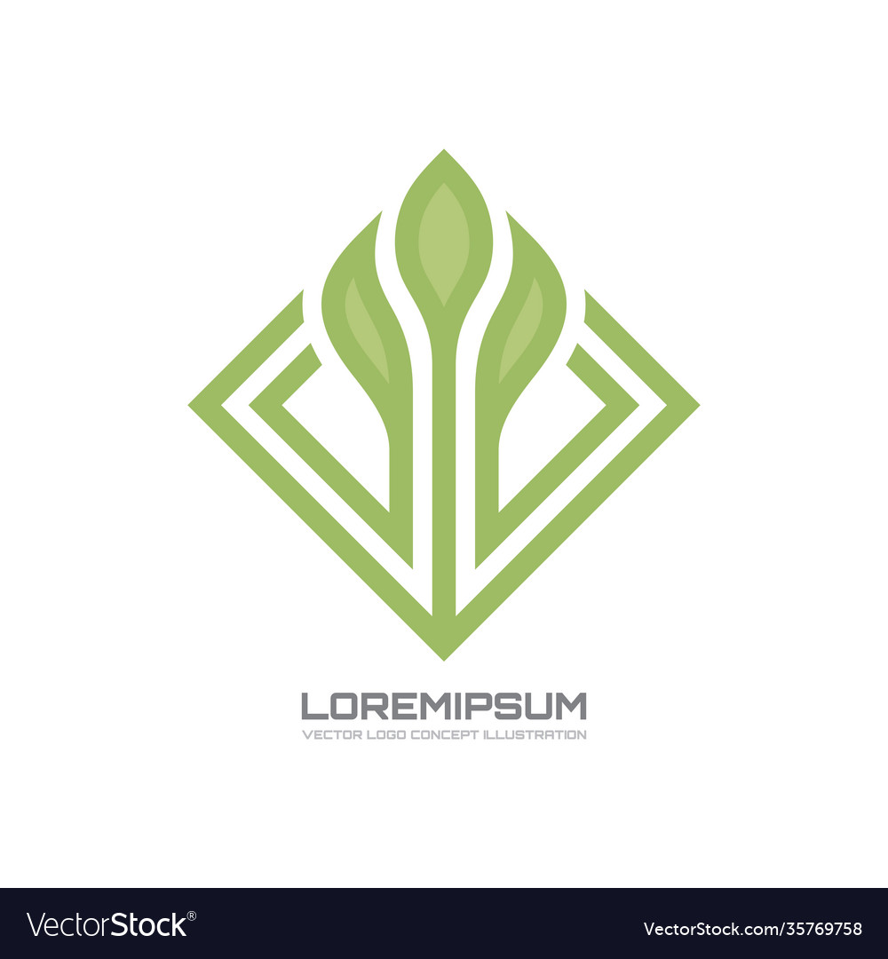 Sprout - logo template concept