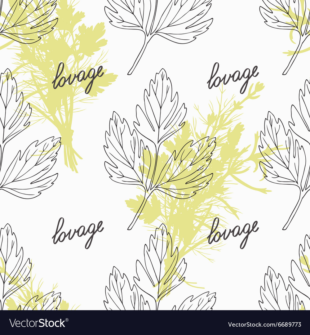 Hand drawn lovage branch and handwritten sign