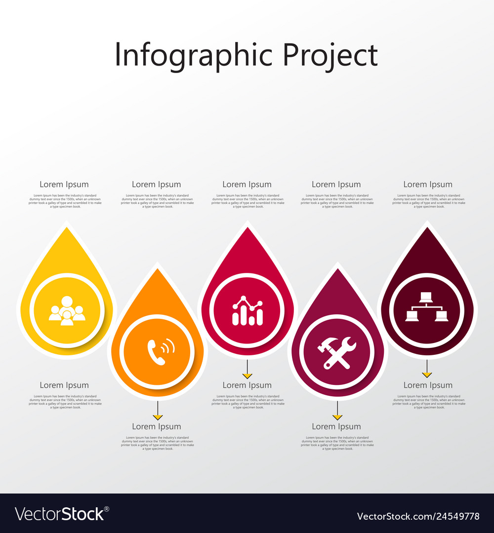 Infographic element with icons and options vector image Infographic element with icons and options