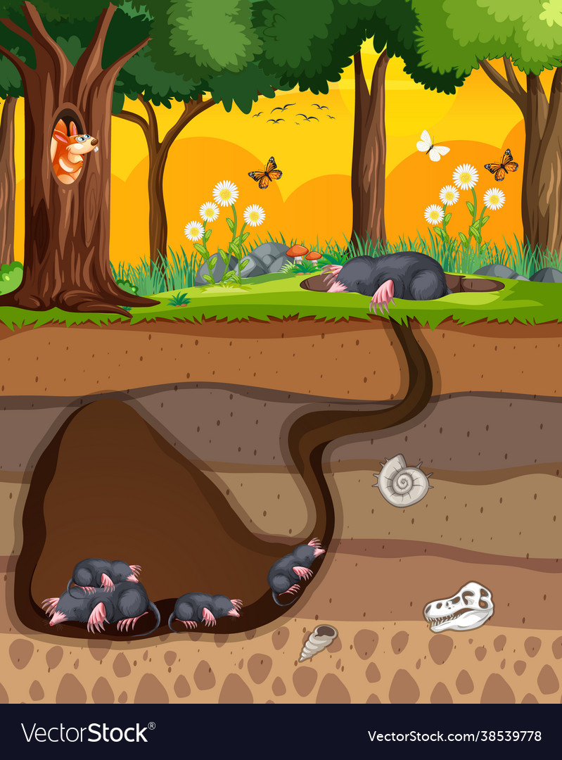 Underground animal burrow with mole family Vector Image