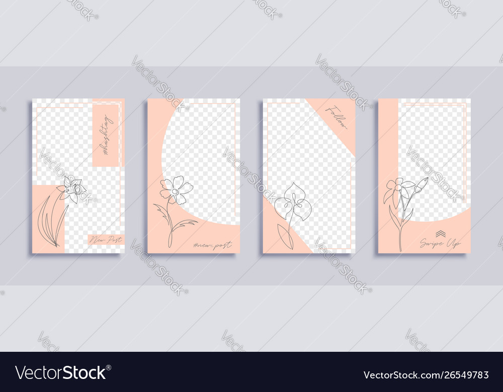 Frame design for social media posts and photos Vector Image