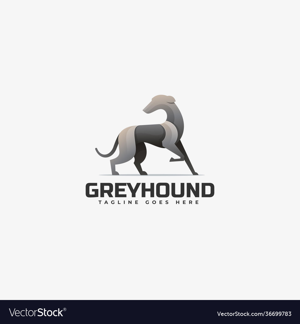 Logo grey hound gradient colorful style