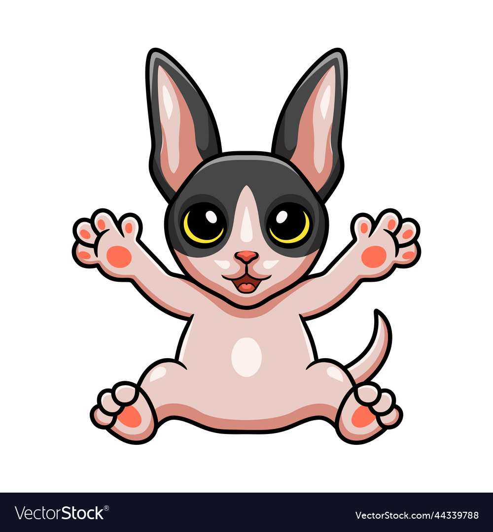 Cute cat cornish rex cartoon