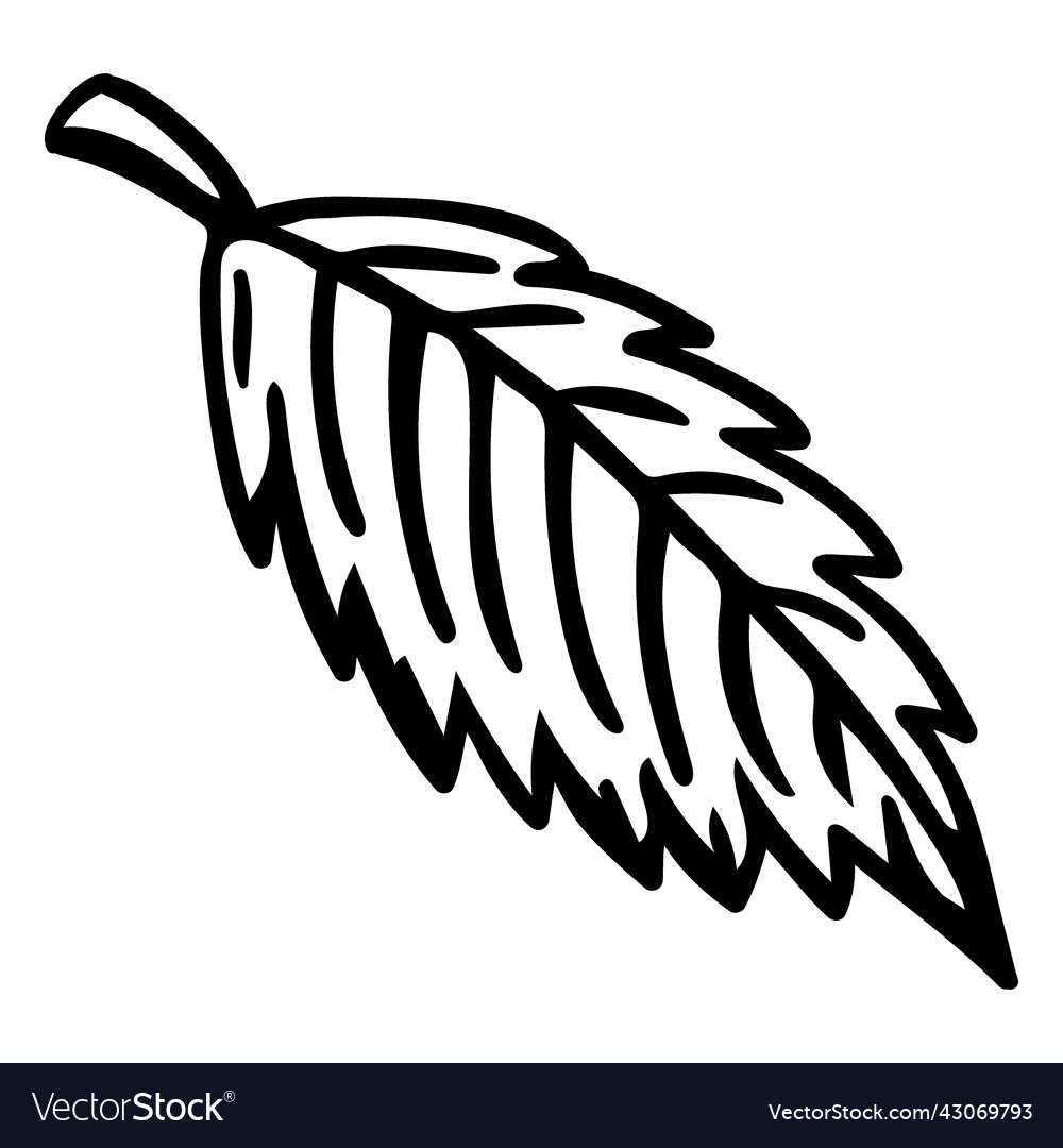Hand drawn stroke serrated leaf