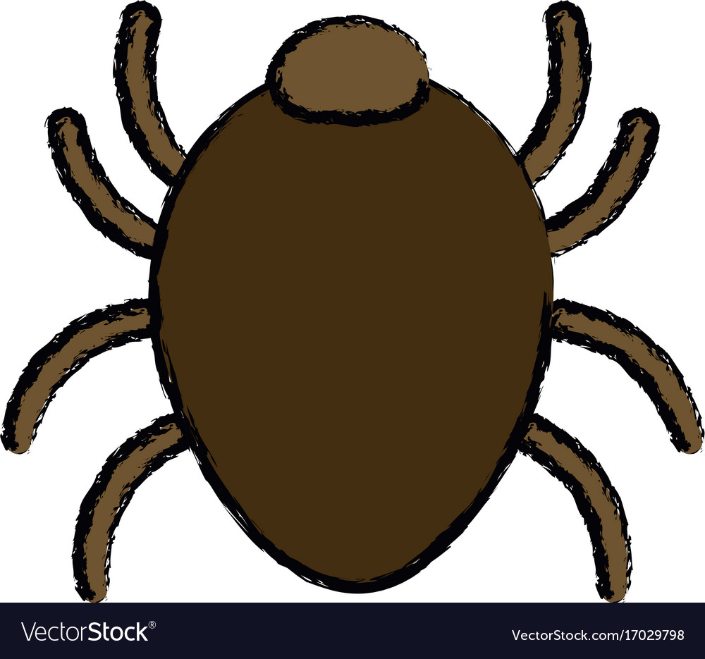 Bug sign icon virus symbol software error