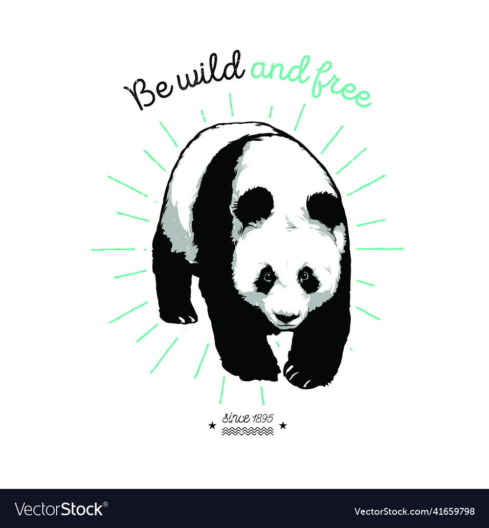 Giant panda walking hand drawn graphic Royalty Free Vector