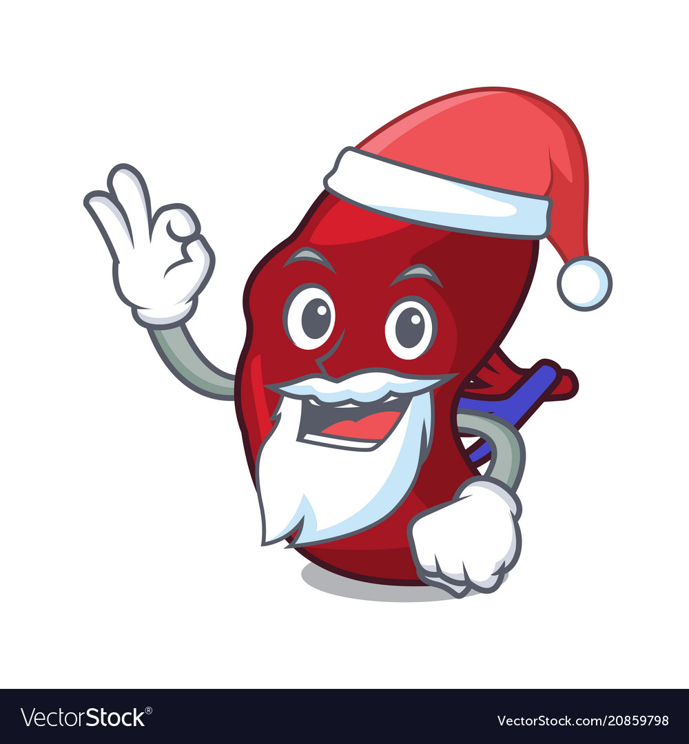 Santa spleen mascot cartoon style